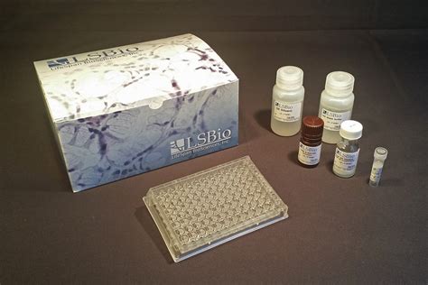 albumin elisa kit